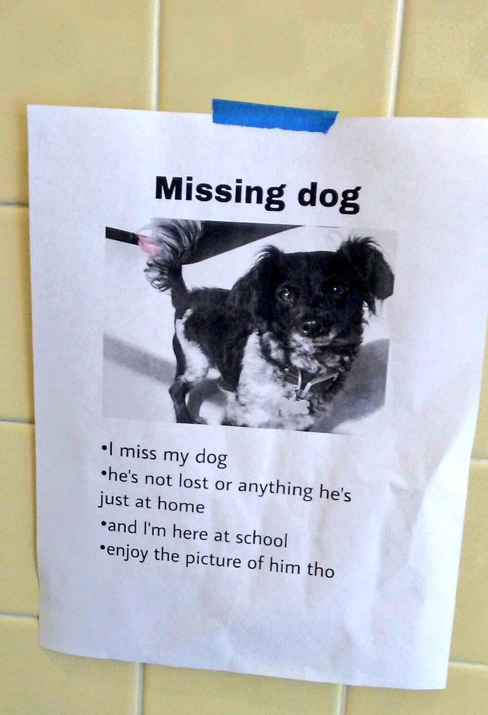 Picture of a poster taped to a wall. Poster has a photo of a cute dog on it. And the poster is titled ''Missing Dog.'' The text under the picture says ''I miss my dog. He’s not lost or anything. He’s just at home. And I’m here at school. Enjoy the picture of him tho.''